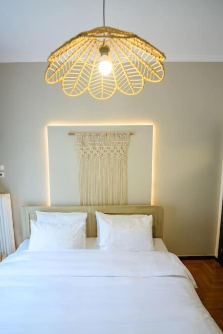 Boho Luxury 2 Bedroom Apartment, Acropolis Museum View 雅典 外观 照片